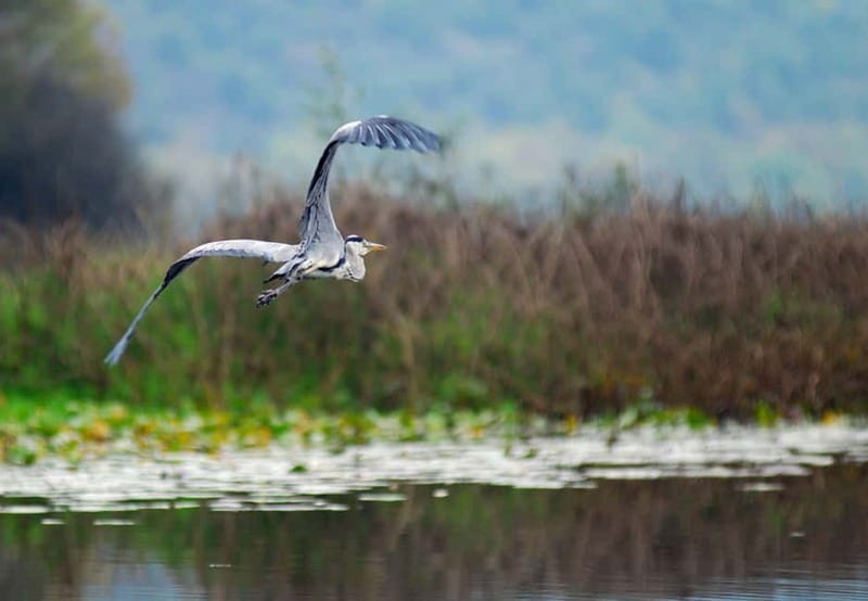 Skadar lake cruise - Virpazar - Kom monastery - Virpazar - What the $37 price includes
