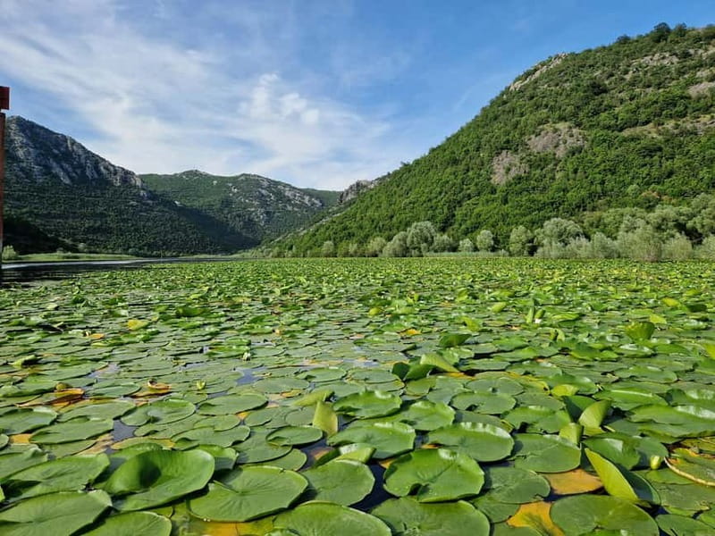 Skadar Lake: Explore the nature and national cuisine - The guide can make or break the day