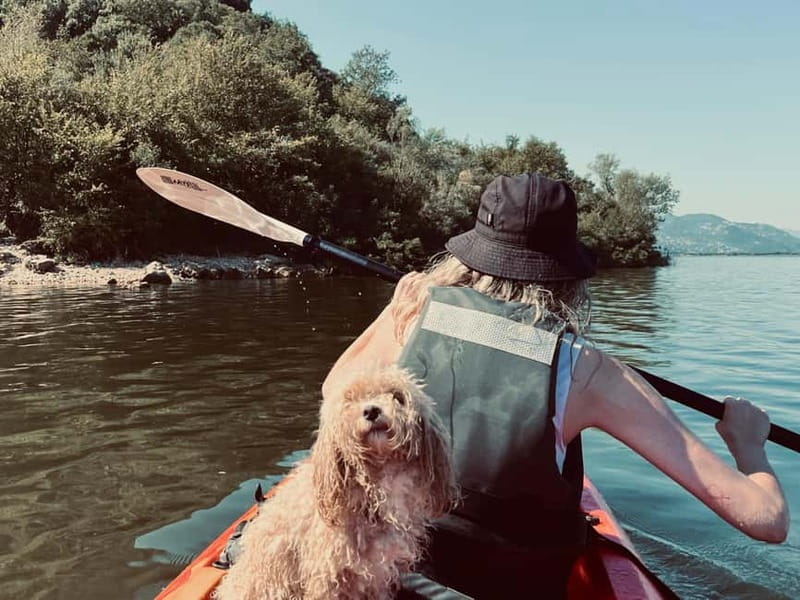 Skadar Lake: Kayak & Paddle board Rental - Birdwatching on Montenegro’s largest lake