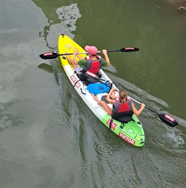 Skadar Lake kayak rent: A Journey Through Tranquility - White Lilies and Lake Wildlife