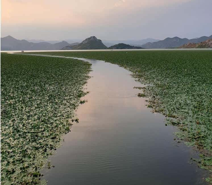 Skadar Lake kayak rent: A Journey Through Tranquility - Lesendro Fortress Viewed From the Water