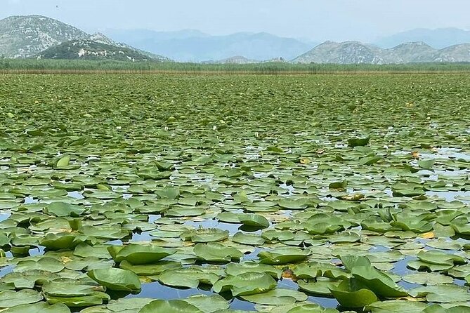 Skadar Lake National Park Boat Tour with Visit in Kom Monastery - Who will enjoy this Skadar Lake cruise