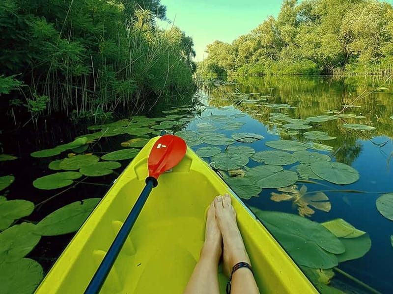 Skadar Lake National Park: Eco-friendly Kayak Adventure - Key points before you book