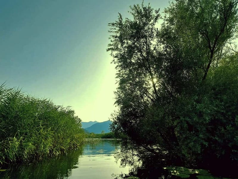 Skadar Lake National Park: Eco-friendly Kayak Adventure - Starting at Virpazar’s central bridge
