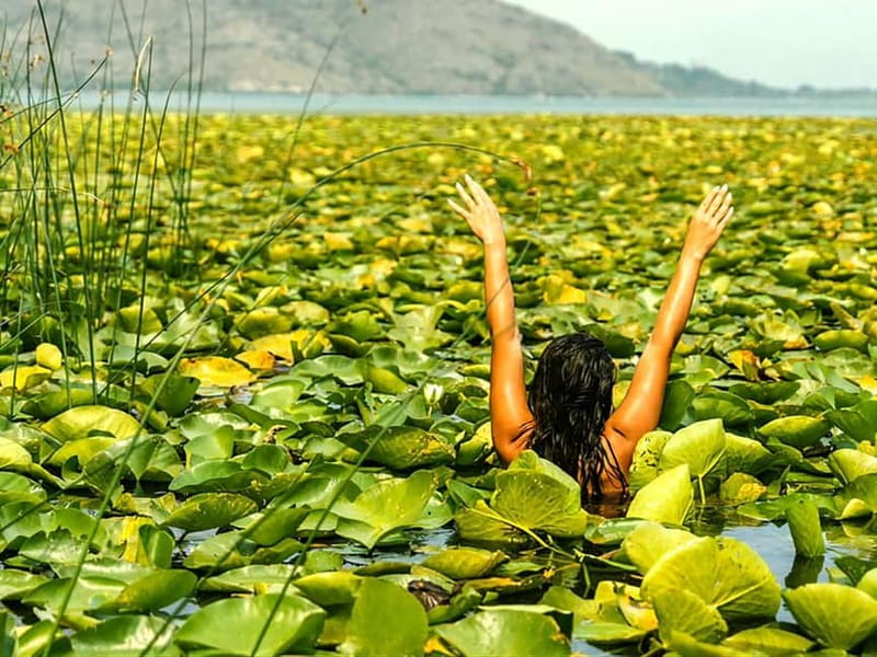 Skadar Lake National Park: Eco-friendly Kayak Adventure - Swimming, drinks, and the slower side of the outing