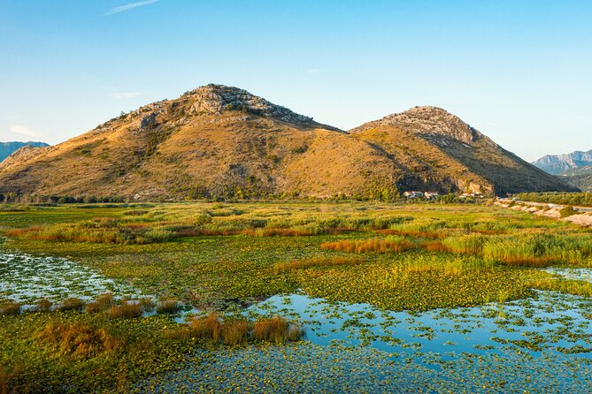Skadar Lake National Park: Guided Boat Tour with Wooden Boat - Birdwatching among reeds, islands, and water plants