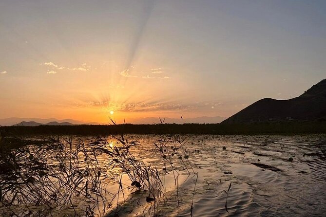 Skadar Lake Private Boat Tour with Wine Tasting - A swim in the middle of Skadar Lake