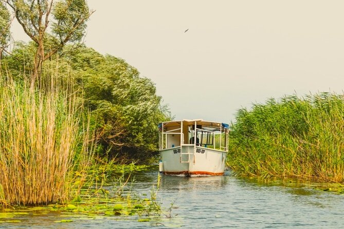 Skadar Lake Short Guided Tour: Discover the Montenegrin Alcatraz - What this short Lake Skadar tour really offers