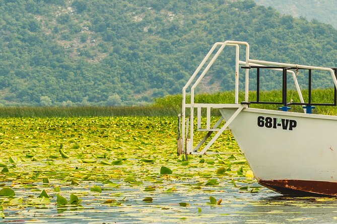 Skadar Lake Short Guided Tour: Discover the Montenegrin Alcatraz - Open-water views toward Montenegro and Albania