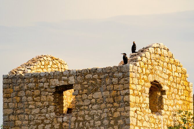 Skadar Lake Short Guided Tour: Discover the Montenegrin Alcatraz - The 30-minute swim stop in Lake Skadar