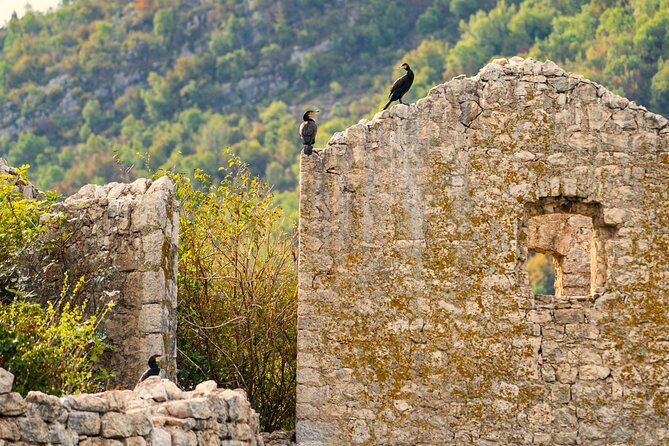 Skadar Lake Short Guided Tour: Discover the Montenegrin Alcatraz - Timing, booking, and practical preparation