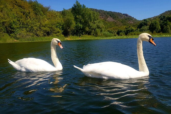 Skadar Lake & Virpazar return trip from Podgorica city - Virpazar: Montenegro’s small lake gateway