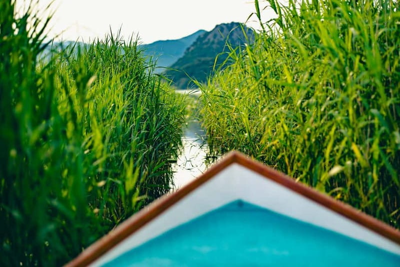 Skadar Lake Virpazar : Speed Boat Special ! - Starting at Virpazar’s Falcon Boat stand