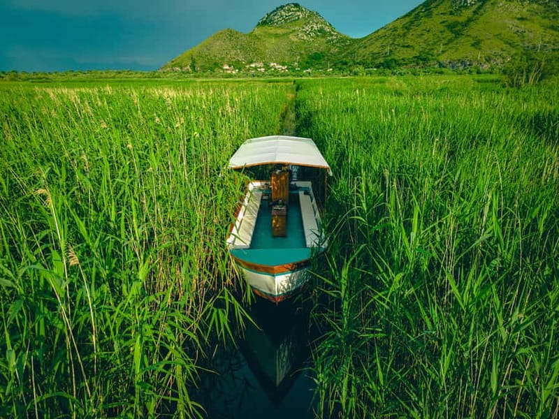 Skadar Lake Virpazar : Speed Boat Special ! - Bird watching on a fast boat