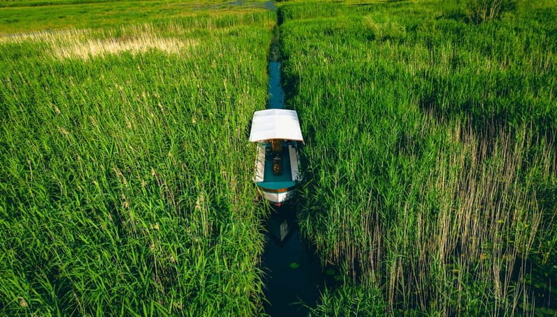 Skadar Lake Virpazar : Speed Boat Special ! - Drinks, photos, and the final cruise