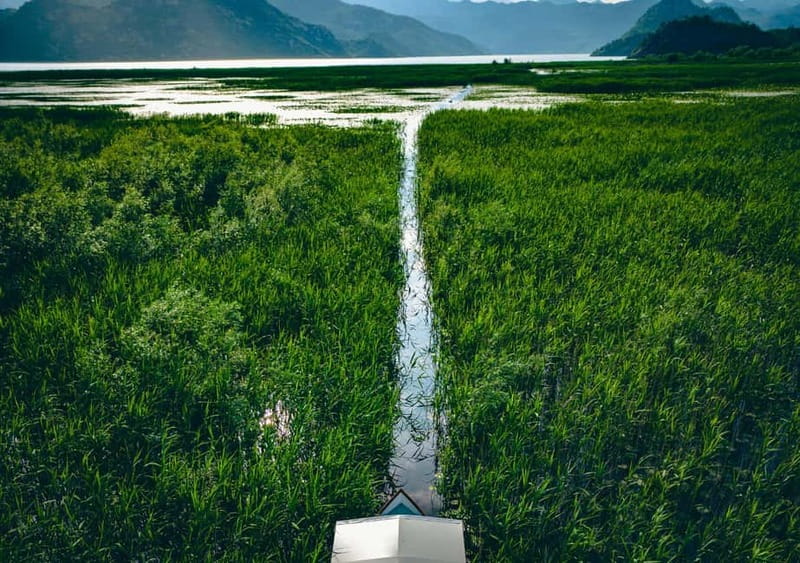 Skadar Lake Virpazar : Speed Boat Special ! - Is $24 a good price?