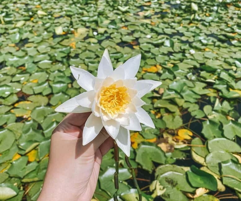 SUNSET/SUNRISE PRIVATE BOAT TOUR ON SKADAR LAKE (2H) - The Moraca River channels and reed passages