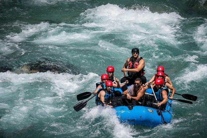 Tara Montenegro Rafting Full Day Tour - Why the Tara River makes this trip special