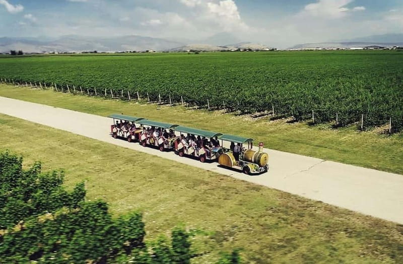 The largest winery in Montenegro: private tour & transport - Why Plantaže makes sense for a short Podgorica stay