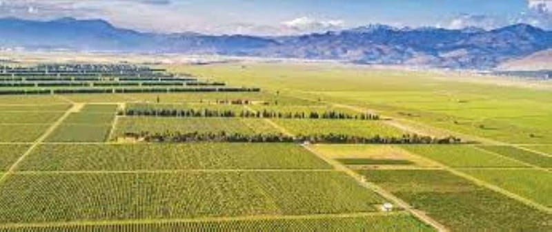 The largest winery in Montenegro: private tour & transport - The drive from Podgorica to Plantaže