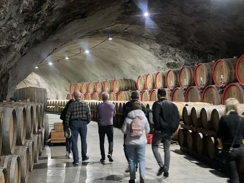 The largest winery in Montenegro: private tour & transport - What the guide adds to the experience