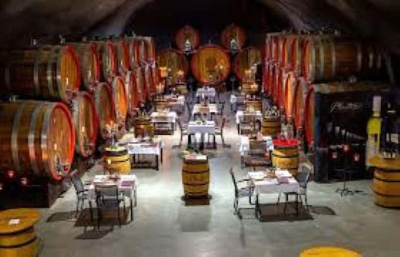 The largest winery in Montenegro: private tour & transport - Timing, cancellation, and small practical matters