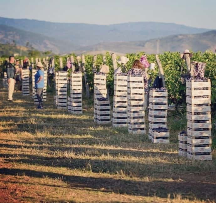 The largest winery in Montenegro: private tour & transport - The private pickup keeps the day simple