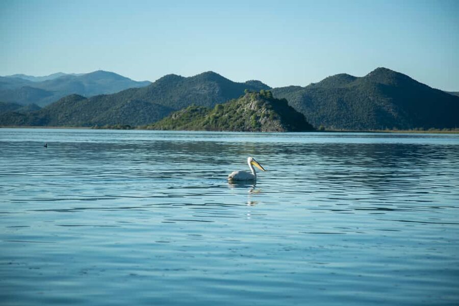 The Wild Route – Skadar’s Hidden Amazon - What the $176 private price really buys you