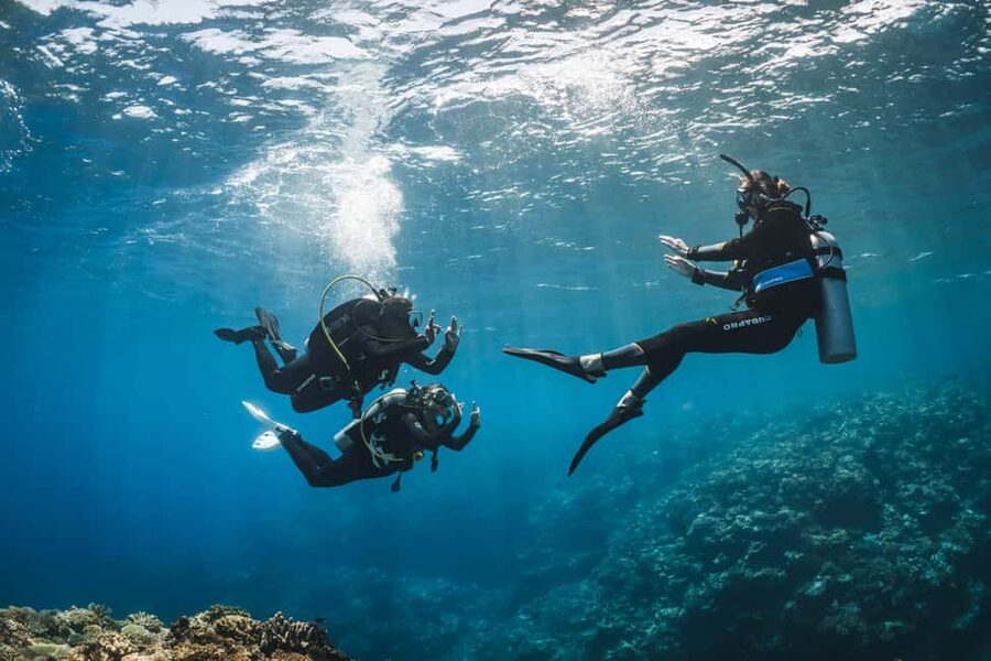 Try Scuba Diving from Boat in Budva - Budva Diving Center - Starting on Slovenska Beach in Budva
