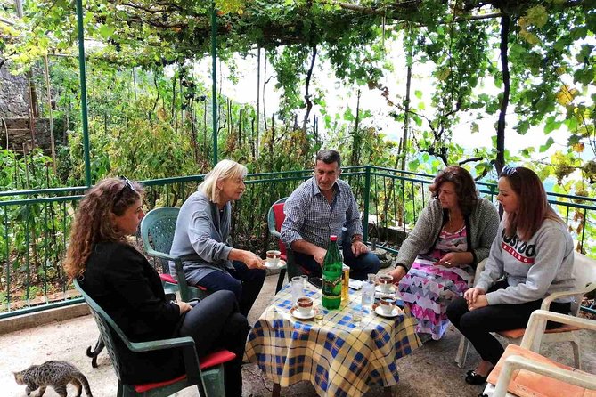 Unique gastro experience with locals in high hills above Budva! - Five Things That Make This Budva Excursion Different