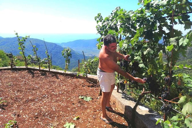Unique gastro experience with locals in high hills above Budva! - My Verdict on the Hills Above Budva