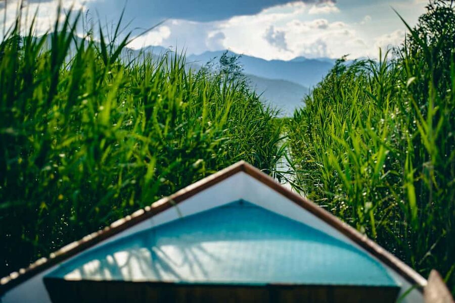 Virpazar: Private & Group Guided Lake Skadar Boat Tour - The swim stop near a quiet beach
