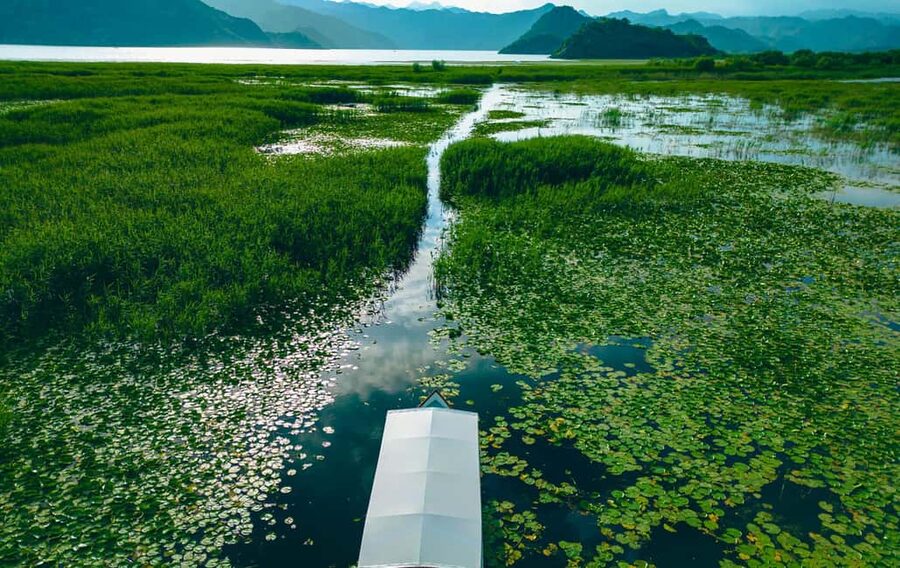 Virpazar: Private & Group Guided Lake Skadar Boat Tour - The guide can shape the whole experience