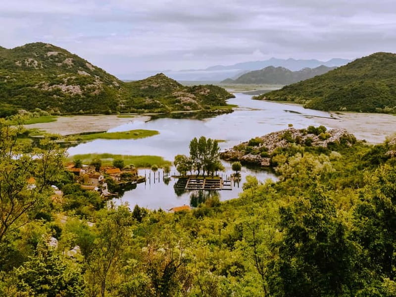 Virpazar: Skadar Lake National Park Boat Tour & Karuč Visit - Islands, wild goats, and floating lilies