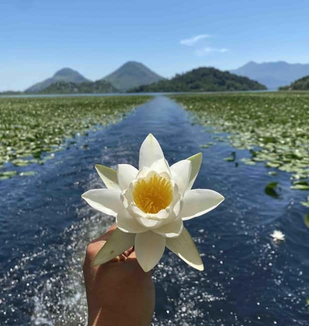 Virpazar: Skadar Lake National Park Guided Boat Tour - Starting beside Virpazar’s main bridge