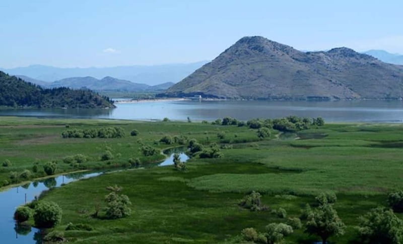Virpazar: Skadar Lake National Park Guided Boat Tour - The 15-minute swimming stop