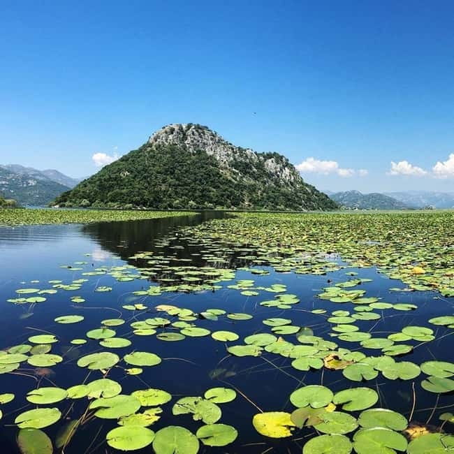 Virpazar: Skadar Lake National Park Guided Boat Tour - Comfort, weather, and practical limits