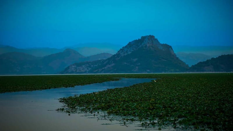 Virpazar: Skadar Lake PRIVATE Boat Tour to KOM MONASTERY - Kom Monastery rewards the climb ashore