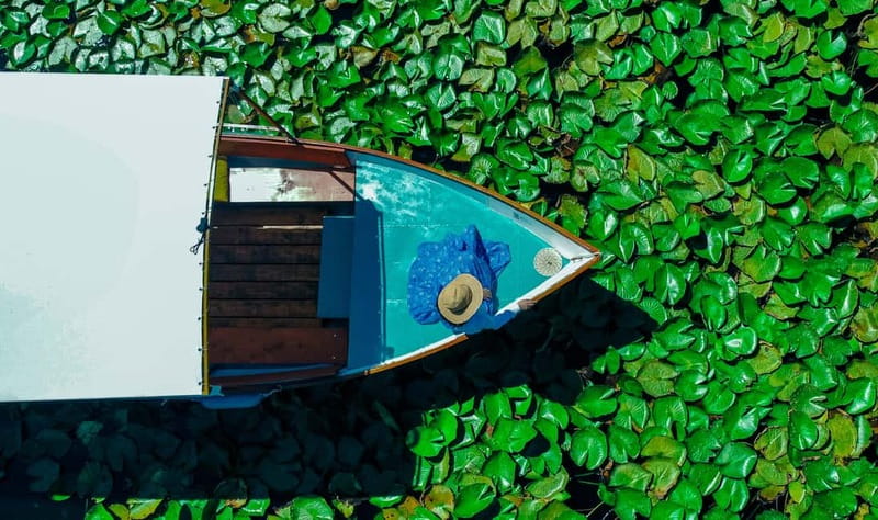 Virpazar: Skadar Lake PRIVATE Boat Tour to KOM MONASTERY - Liponjak brings the swimming break
