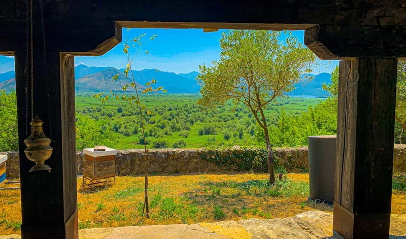Virpazar: Skadar Lake PRIVATE Boat Tour to KOM MONASTERY - What $29 really buys you
