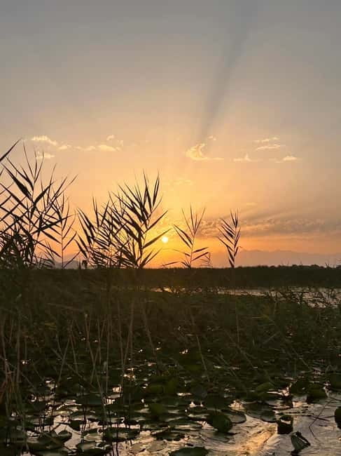 Virpazar – Skadar Lake: sunrise and sunset cruise - Under the railway bridge toward Vranjina