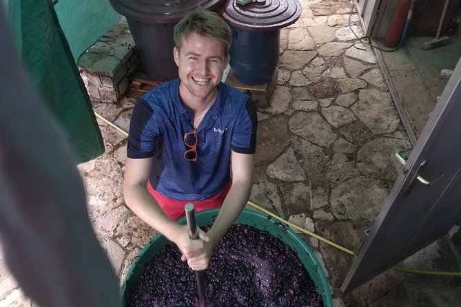 Wine tasting and magical tour from Kotor, Budva, Tivat (Lovcen,Skadar lake) - Lovcen National Park and the mountain setting